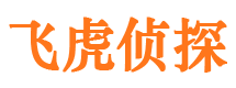 商河市婚外情调查